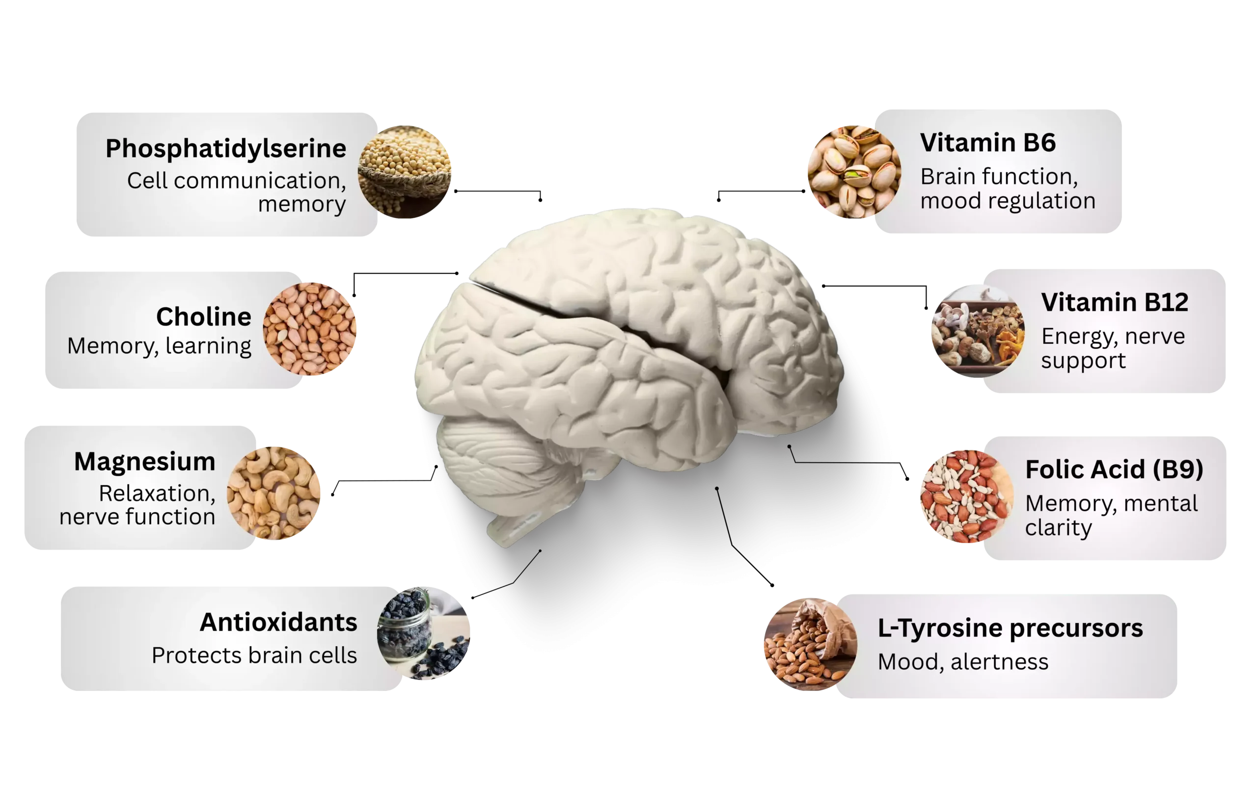 NeuroXen key ingredients label